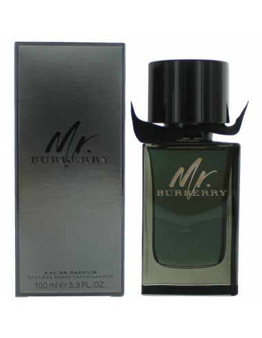 Burberry Men's Eau De Parfum Spray - Mr. Intense and Sensual Natural, 3.3 oz Comparez plus de prix