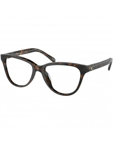 Coach Women's Eyeglasses - Dark Tortoise Plastic Cat Eye Frame Demo Lens | 6202F 5120 Comparez plus de prix