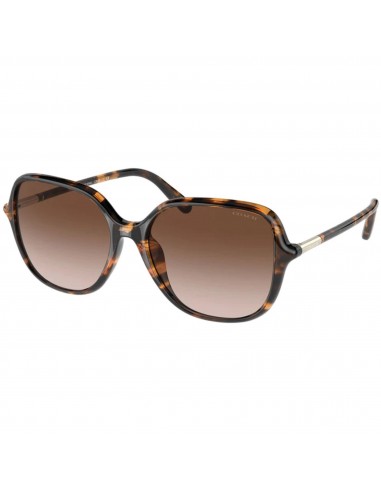 Coach Women's Sunglasses - Dark Tortoise Oversized Shaped Frame | 0HC8344U 51201355 shop