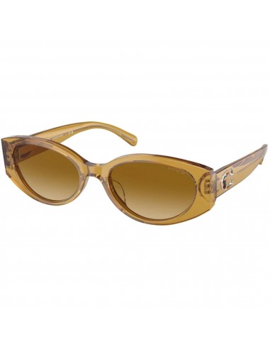 Coach Women's Sunglasses - Transparent Honey Oval Plastic Frame | 0HC8353F 57152L57 une grave pollution 