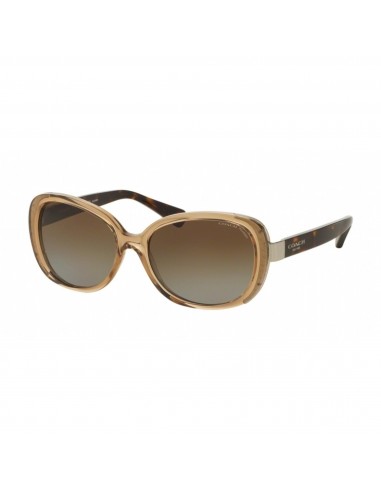 Coach Women's Sunglasses - Full Rim Butterfly Shape Plastic Frame | 0HC8172 5369T556 plus qu'un jeu 