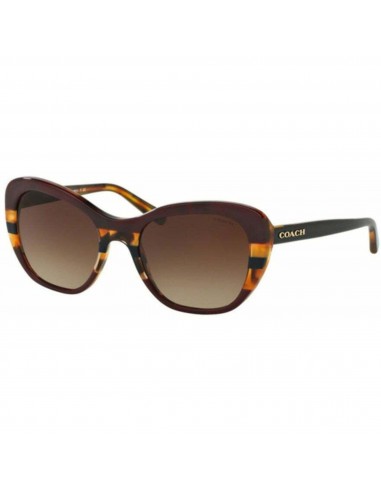 Coach Women's Sunglasses - Aubergine Navy Tortoise Varsit Frame | 0HC8204F 54441354 pas cher 