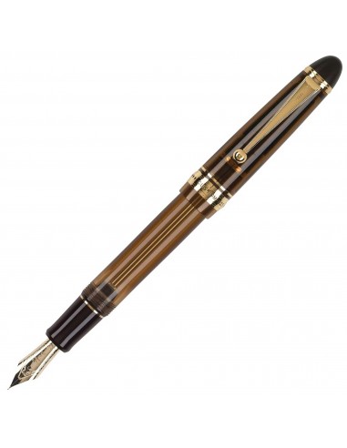 Pilot Fountain Pen Gift Set - Custom 823 Amber Brown Resin Finish Véritable concentré