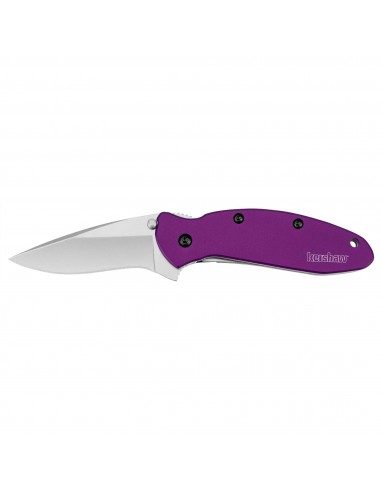 Kershaw Pocket Knife - Scallion Drop Point Blade with Inset Liner Lock | KW1620PUR la colonne vertébrale