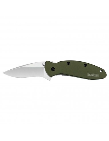 Kershaw Pocket Knife - Scallion Drop Point Plain Blade with Liner Lock | KW1620OL france