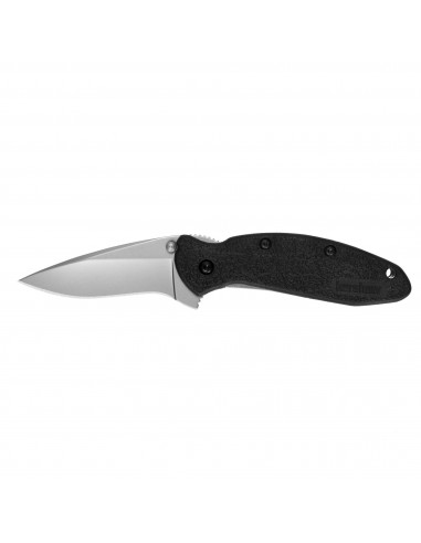 Kershaw Pocket Knife - Scallion Drop Point Blade with Inset Liner Lock | KW1620 d'Europe débarque