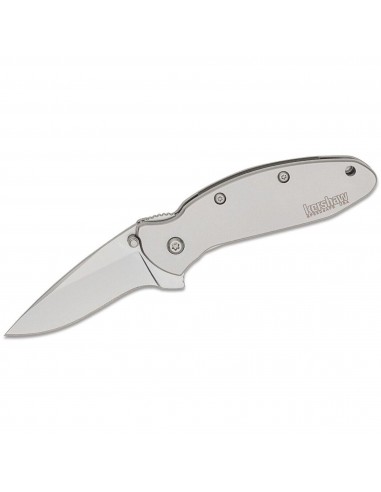 Kershaw Pocket Knife - Scallion Stainless Steel Handle Drop Point Blade | 1620FL est présent 